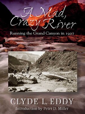 cover image of A Mad, Crazy River